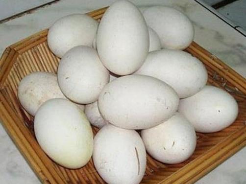 鵝蛋能去胎毒是真的嗎?懷孕什么時候吃鵝蛋最好