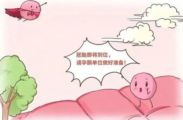 優貝貝助孕有話說|黃體支持是打針好還是塞藥好