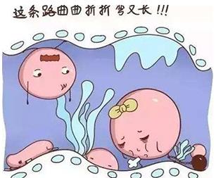 重慶送子鳥關懷健康行,孕路援助暖心間