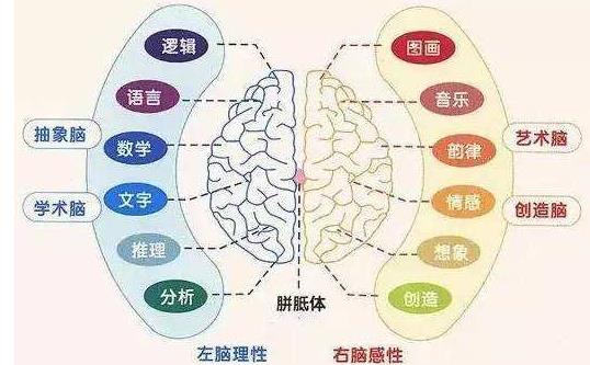 不同年齡段寶寶開發右腦 寶寶右腦開發小游戲推薦