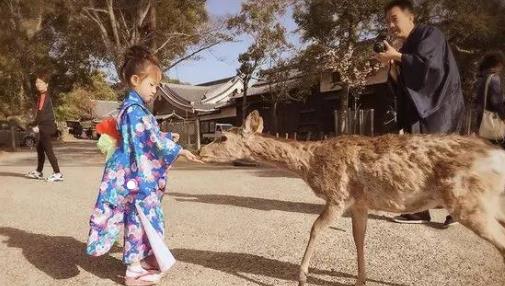 日本人都是怎么教育自己小孩的 你需要知道的日本育兒常識