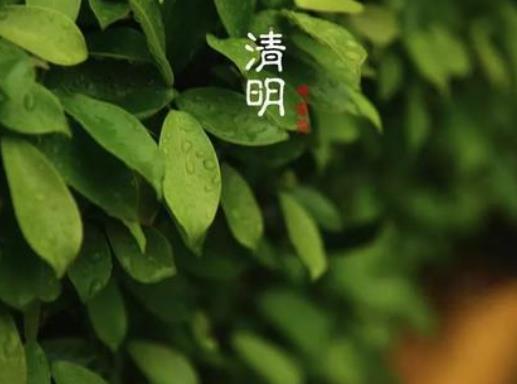 清明節應不應該回家掃墓?清明節哪天可以開始上墳