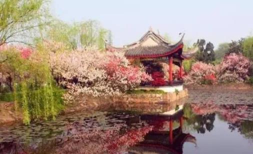 2018無錫蠡園桃花什么時候開 無錫蠡園桃花開花季節