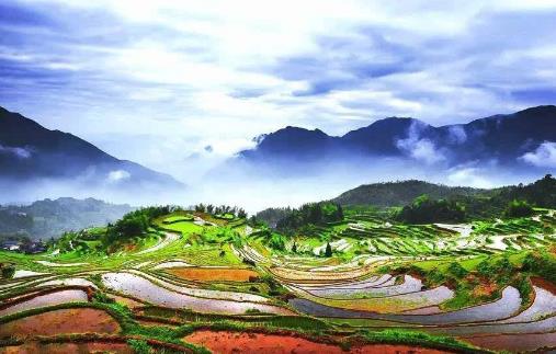 云和梯田最佳旅游時間是什么時候 云和梯田最佳旅游時間