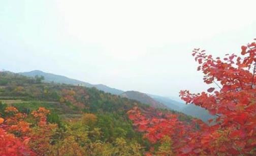 2018王屋山紅葉節什么時候舉辦 王屋山紅葉節時間