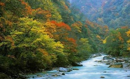 夾金山紅葉節(jié)是什么時候舉辦 夾金山紅葉節(jié)持續(xù)多長時間