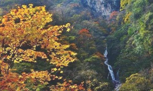 夾金山紅葉節(jié)是什么時候舉辦 夾金山紅葉節(jié)持續(xù)多長時間