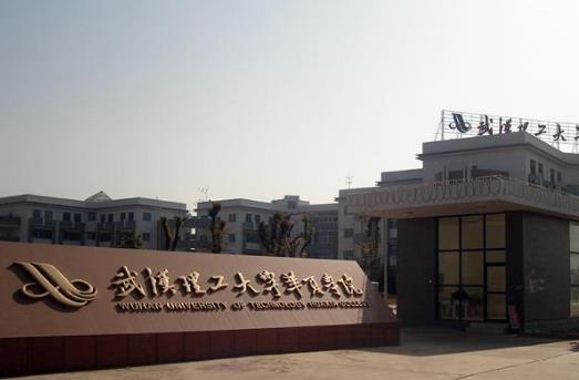 10、武漢理工大學華夏學院.jpg
