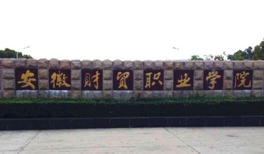 8、安徽財貿職業學院.jpg