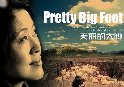 十大感人國產電影排行榜,《媽媽再愛我一次》《可可西里》引人淚目