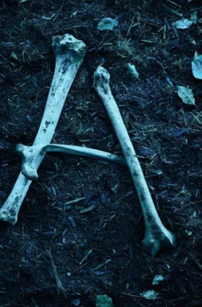 最好看的恐怖驚悚美劇排名,《真愛不死》《邪惡力量》很有看點(diǎn)