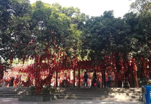 深圳7大香火旺盛的寺廟,羅湖區(qū)弘法寺自然風景優(yōu)美,鳳巖古廟信徒多