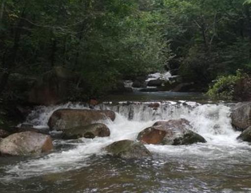 吉林十大風(fēng)景名勝排行榜,霧凇島、朱雀山國(guó)家森林公園風(fēng)景美如畫