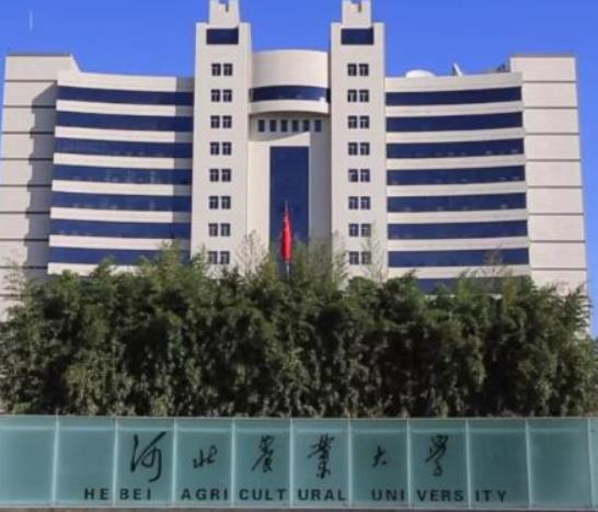 河北十大名牌大學(xué),燕山大學(xué)屬于全國一流大學(xué)、河北大學(xué)師資力量雄厚