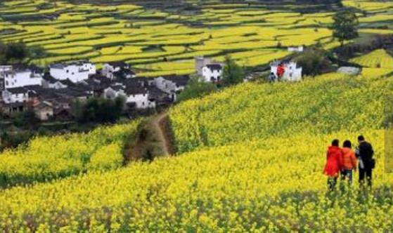江西十大旅游景點(diǎn)排行榜 江西有什么好玩的地方去旅游