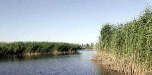 內(nèi)蒙古巴彥淖爾十大旅游景點排行榜 巴彥淖爾有什么好玩的地方