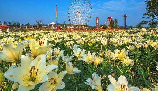 四川省綿陽(yáng)市十大旅游景點(diǎn)排行榜 綿陽(yáng)有什么好玩的地方