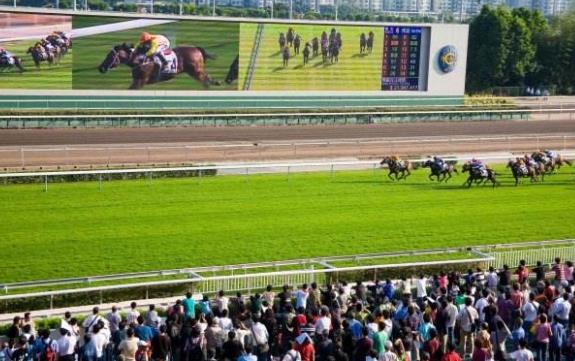 香港油沙田區十大旅游景點排行榜 沙田區有什么好玩的地方