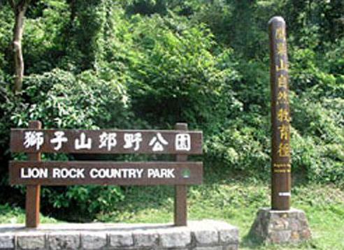 香港油沙田區十大旅游景點排行榜 沙田區有什么好玩的地方