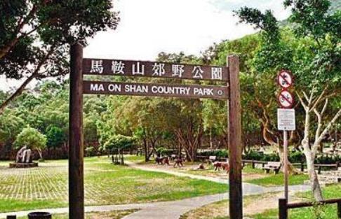 香港油沙田區十大旅游景點排行榜 沙田區有什么好玩的地方