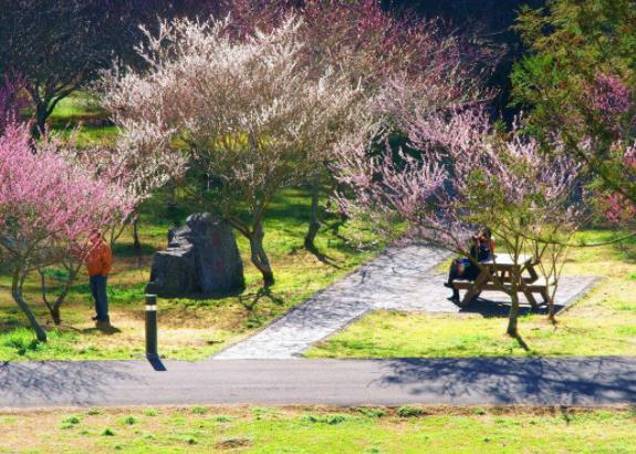 臺(tái)灣新竹市十大旅游景點(diǎn)排行榜 新竹市有什么好玩的地方