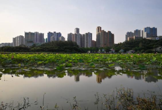 澳門(mén)嘉模堂區(qū)十大旅游景點(diǎn)排行榜 嘉模堂區(qū)有什么好玩的地方