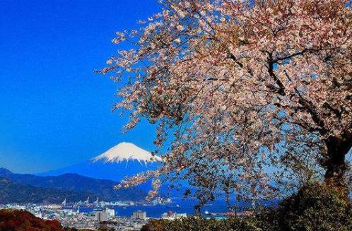 日本靜岡縣十大旅游景點(diǎn)排行榜 靜岡縣有什么好玩的地方