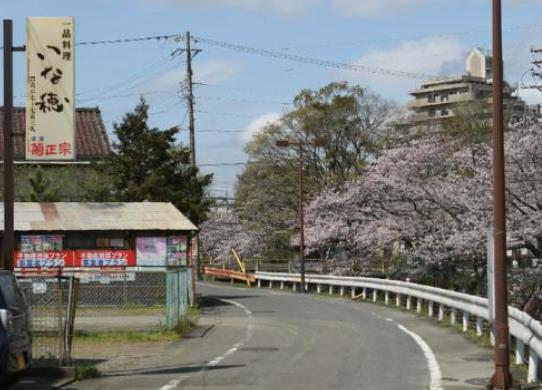 日本靜岡縣十大旅游景點(diǎn)排行榜 靜岡縣有什么好玩的地方