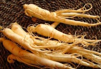 遼寧撫順土特產品排行 人參又叫棒棰野生植物