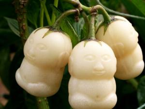 人參果怎么吃最養(yǎng)生？人參果的功效和作用