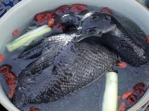 烏雞怎么吃最有營養？烏雞的功效與作用