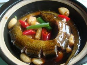吃黃鱔魚有什么好處？黃鱔的營養價值與功效