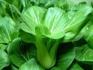 青菜的營(yíng)養(yǎng)價(jià)值、功效與作用、吃青菜的好處