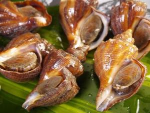 海螺的營(yíng)養(yǎng)價(jià)值-海螺的食療作用