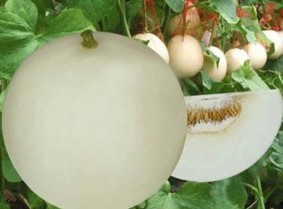 ʲô̎ϵĹЧc