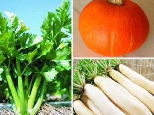 什么食物維生素a多？維生素a的作用及功能