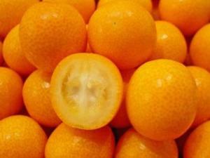 金桔的營養(yǎng)價值、功效與作用、食用禁忌