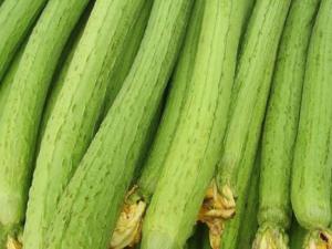 吃絲瓜好嗎？絲瓜的營(yíng)養(yǎng)價(jià)值、功效與作用