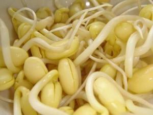 吃黃豆芽好嗎？黃豆芽的營養價值、功效與作用