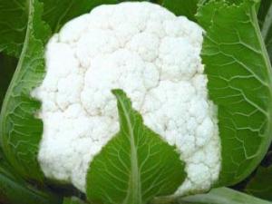 吃花菜有什么好處？花菜的營養價值及功效
