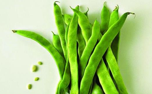 四季豆有毒嗎?怎么吃更安全?四季豆的營養價值
