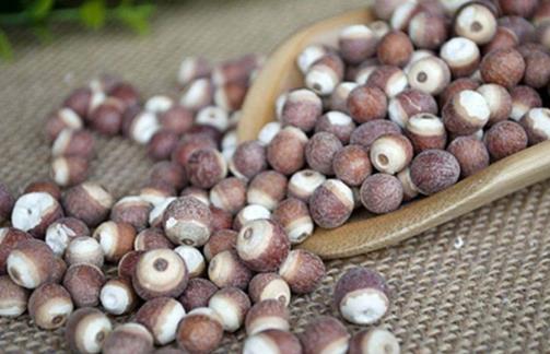 秋冬季適合多吃芡實 秋冬季吃芡實有哪些益處