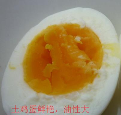 土雞蛋與普通雞蛋有什么區(qū)別 土雞蛋與普通雞蛋營養(yǎng)價值對比分析