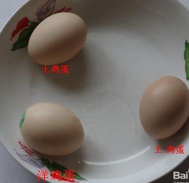 土雞蛋與普通雞蛋有什么區(qū)別 土雞蛋與普通雞蛋營養(yǎng)價值對比分析