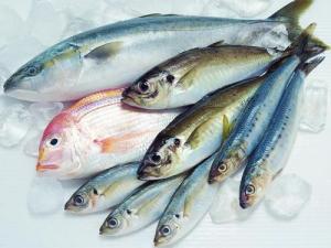 如何區(qū)別冰鮮魚與速凍魚？鑒別海鮮干品質量好壞方法