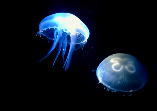 ˮĸôBˮĸô\ӵģ