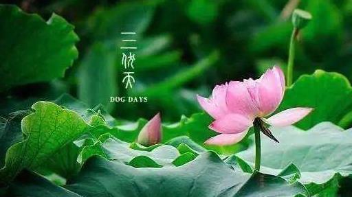 2021年三伏天時間表是怎樣的?2021年三伏天總共40天嗎?