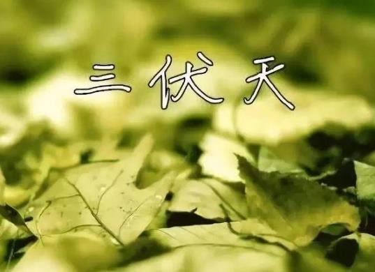 夏至三庚入伏是怎么計算的?2021年具體什么時候入伏什么時候出伏?