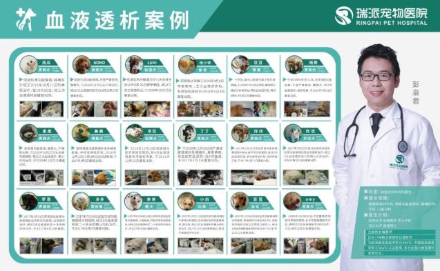 杭州瑞派虹泰,一家26年歷史的靠譜杭州寵物醫院收費是怎樣的