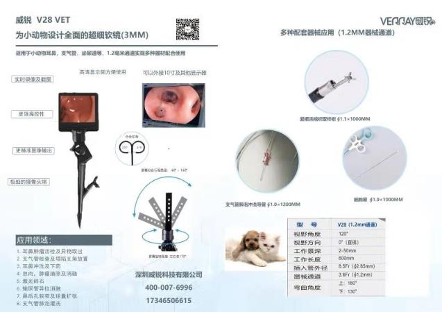 杭州瑞派虹泰,一家26年歷史的靠譜杭州寵物醫院收費是怎樣的